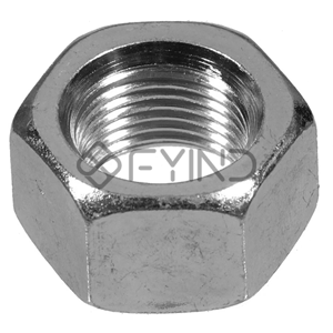 Hexagon Nut