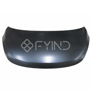 Vehicle Hood