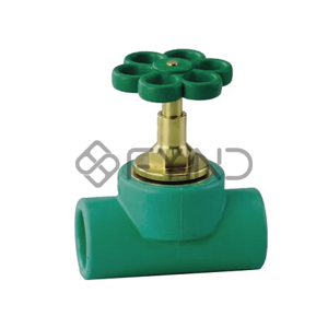 Globe Valve