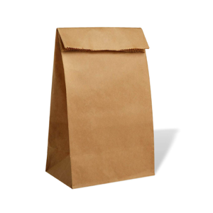 Paper Bag