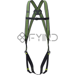 Lanyard