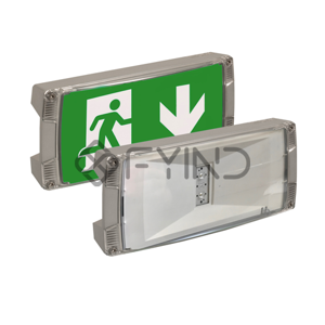Emergency Exit Light