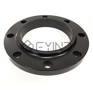 Slip On Flange
