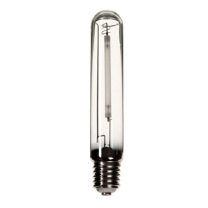Sodium Lamp
