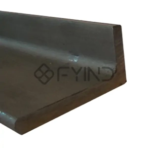 Stainless Steel Angle
