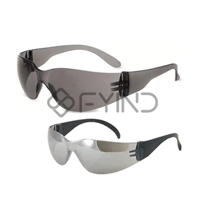 Safety Goggle