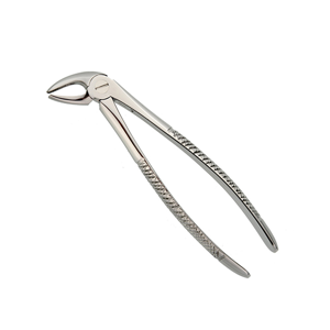 Dental Forcep