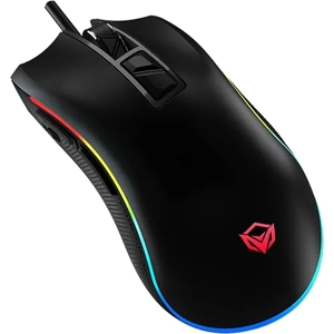 Computer Mouse