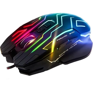 Computer Mouse