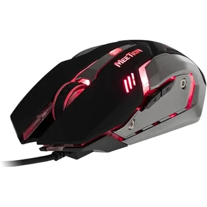 Computer Mouse