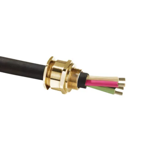 Cable Gland