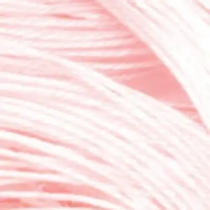 Sewing Thread