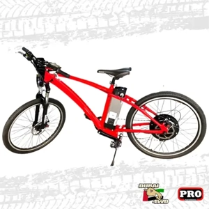 Electric Bicycle