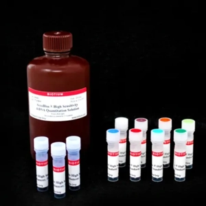 DNA Quantitation Kit