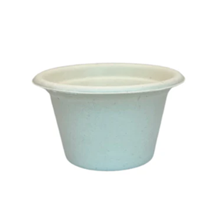 Disposable Cup