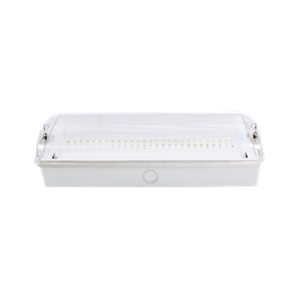Emergency Light