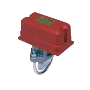 Flow Switch