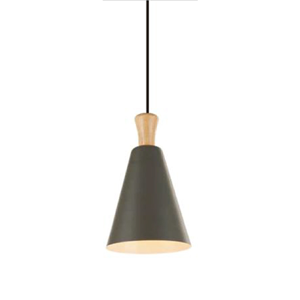 General Purpose Downlight