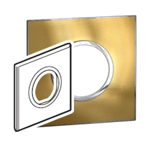 Socket Switch