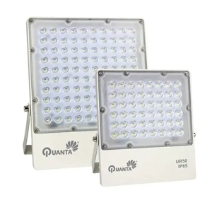 Flood Light