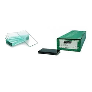 Safety Glass