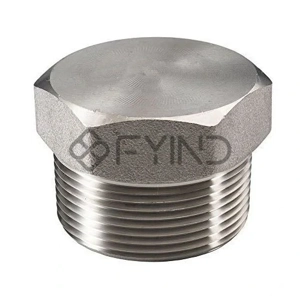Pipe Plug