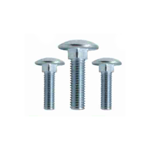 Carriage Bolt