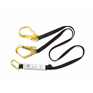 Lanyard