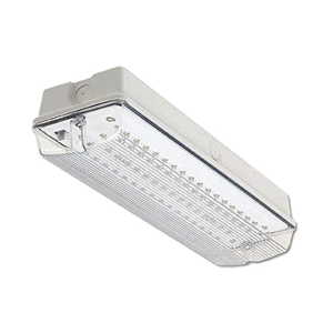 Emergency Light