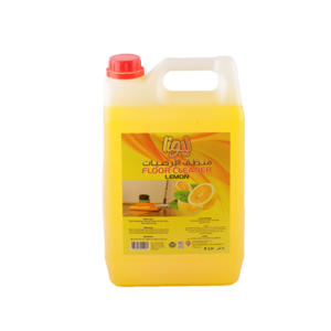 Floor Cleaner