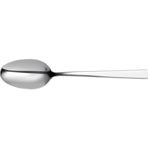 Spoon