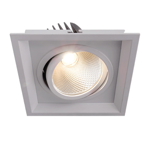General Purpose Downlight