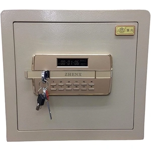 Safe Deposit Box