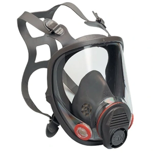 Face Mask