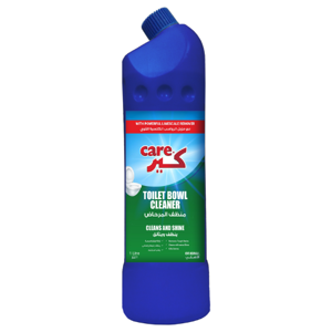 Toilet Cleaner
