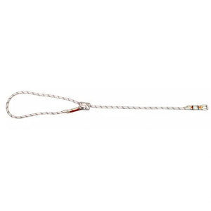 Lanyard