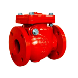 Swing Check Valve