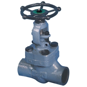 Globe Valve