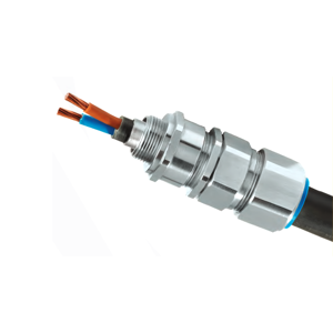 Cable Gland