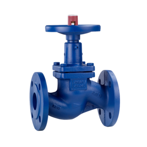 Globe Valve