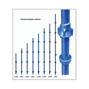 Scaffolding Standard