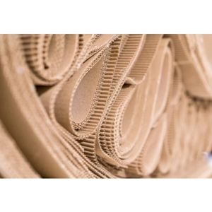 Corrugated Paper Roll