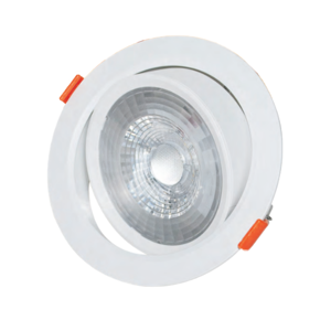 LED Light Fixture
