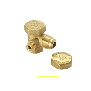 Check Valve
