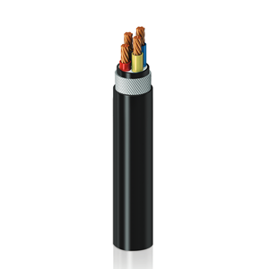 Power Cable