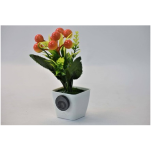 Garden Pot