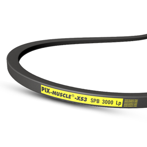 Wrap Belt