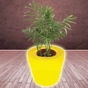 Garden Planter