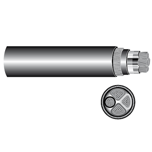 Power Cable