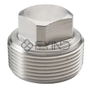 Pipe Plug